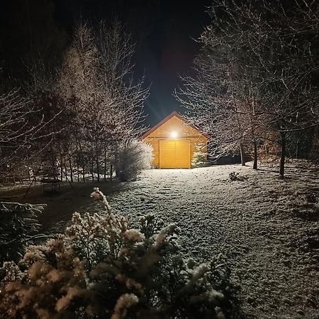 Villa Lupus - Apartament Z Prywatna Sauna Szklarska Poręba Zewnętrze zdjęcie
