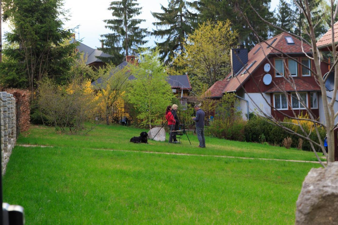Villa Lupus - Apartament Z Prywatna Sauna Szklarska Poręba Zewnętrze zdjęcie