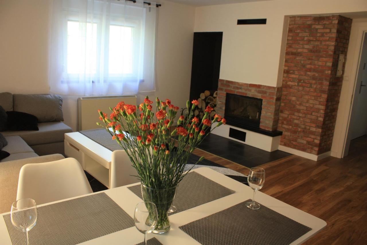 Villa Lupus - Apartament Z Prywatna Sauna Szklarska Poręba Zewnętrze zdjęcie